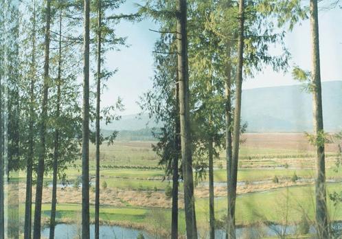 Laag land-hoge heuvels 9789081187916 A. Stultiens, Boeken, Taal | Engels, Gelezen, Verzenden