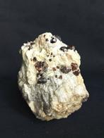 Granato PEZZO UNICO (Val Sissone, Sondrio, Italië)-Hoogte:, Verzamelen, Mineralen en Fossielen