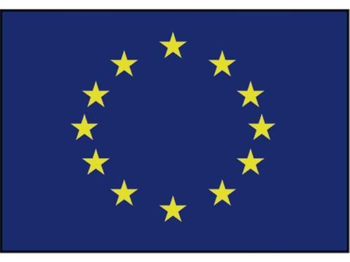 Raad van europa vlag (blauw met gele sterren), Watersport en Boten, Bootonderdelen, Nieuw, Zeilboot of Motorboot, Ophalen of Verzenden