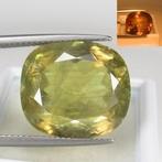 Diaspoor - 16.67 ct - nternational Colored Gemstone, Nieuw