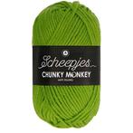 Scheepjes Chunky Monkey - 2016 fern - Acryl Garen, Ophalen of Verzenden, Nieuw