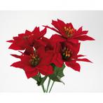 Kerstster kerstroos poinsettia 5 koppen rood velvet, Ophalen of Verzenden, Nieuw