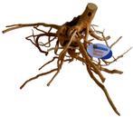 Spiderwood Large - Superfish, Dieren en Toebehoren, Verzenden, Nieuw