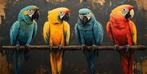 CoCo - Avian Symphony - XXL, Antiek en Kunst, Kunst | Schilderijen | Modern