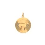 Gouden sterrenbeeld hanger; Steenbok (kettinghanger), Ophalen of Verzenden, Gebruikt, Goud, Overige merken