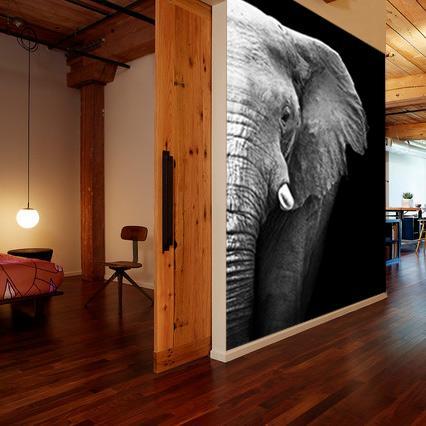 Vlies fotobehang Olifant Close-up -, Huis en Inrichting, Stoffering | Behang, Verzenden