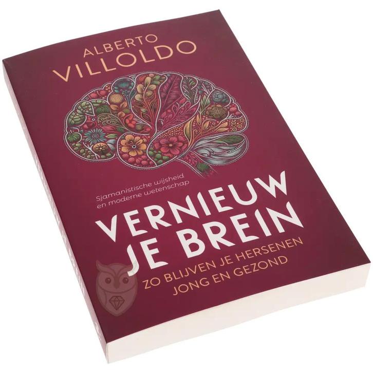 Vernieuw je brein - Alberto Villoldo, Boeken, Overige Boeken, Nieuw, Verzenden