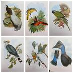 J. Gould - Birds Of Asia & Birds Of Australia { 320 coloured