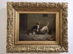 Julius Hamburger (1830-1909) - Gattini curiosi