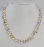 Halsketting Zilver, 5,5x6mm multi gouden en zilveren Akoya, Sieraden, Tassen en Uiterlijk, Kettingen, Nieuw