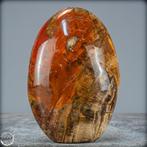 Natuurlijke vrije vorm van versteend hout- 797.13 g