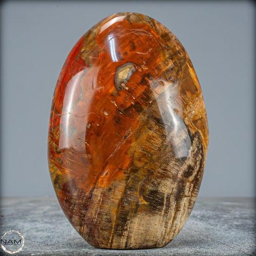 Natuurlijke vrije vorm van versteend hout- 797.13 g, Verzamelen, Mineralen en Fossielen