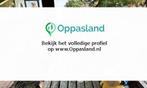 Kirsten zoekt een oppas in Zwolle voor 1 kind op dinsdag., Vacatures, Vacatures | Gezondheidszorg