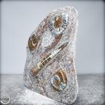Natuurlijke Orthoceras-fossielen - Paleontologische schatten
