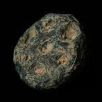 West-Aziatisch Brons Rosette (Zonder Minimumprijs), Antiek en Kunst, Antiek | Overige Antiek