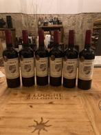 2017 Bodega Garzon Tannat Reserva - Uruguay - 6 Flessen, Nieuw