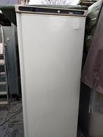 POLAR  koelkast 600 liter, werkt als nieuw, Gebruikt, Koelen en Vriezen