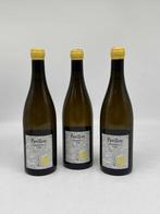 2023 Terra Vita Vinum Pavillon Blanc - Anjou - 3 Flessen, Nieuw