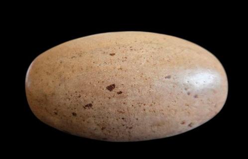 Shiva Lingam van uitzonderlijke kwaliteit! Ei - Hoogte: 145, Verzamelen, Mineralen en Fossielen