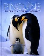 PinguÃ¯ns 9781407521442 Daniel Gilpin, Verzenden, Zo goed als nieuw, Daniel Gilpin