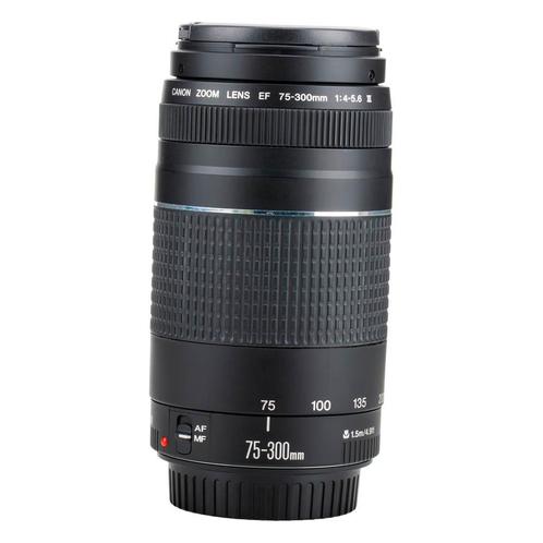 Canon EF 75-300mm F/4-5.6 III met garantie, Audio, Tv en Foto, Fotografie | Lenzen en Objectieven, Verzenden