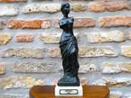 Beeld, Venus van Milo - 1 kg - 26.5 cm - Verbronsd