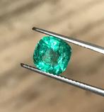 1 pcs Groen Smaragd - 2.44 ct - International Gemological, Nieuw