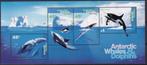 Australisch Antarctica - 1995 - Zeedieren - Postfris, Postzegels en Munten, Postzegels | Oceanië, Verzenden, Postfris