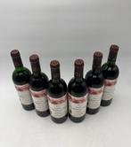 1990 Château Lafleur du Roy - Bordeaux, Pomerol - 6 Flessen, Nieuw