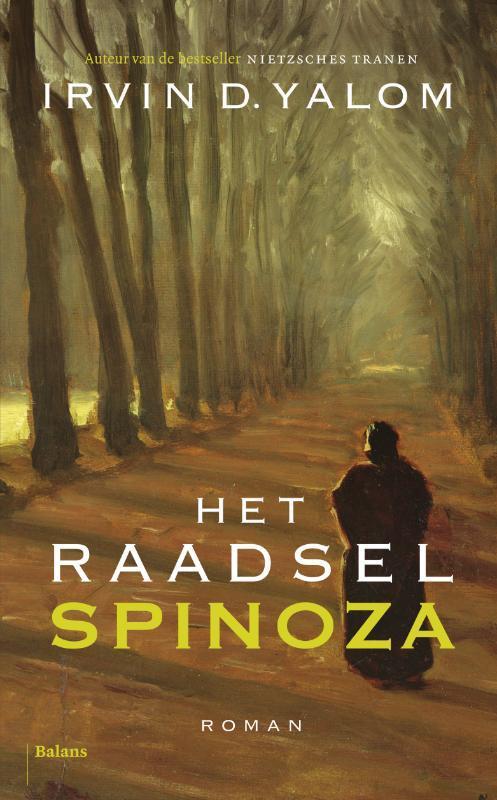 Het raadsel Spinoza 9789460033742, Boeken, Wetenschap, Zo goed als nieuw, Verzenden