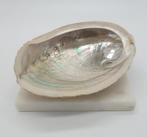 Abalone smudge schelp, Verzamelen, Ophalen of Verzenden
