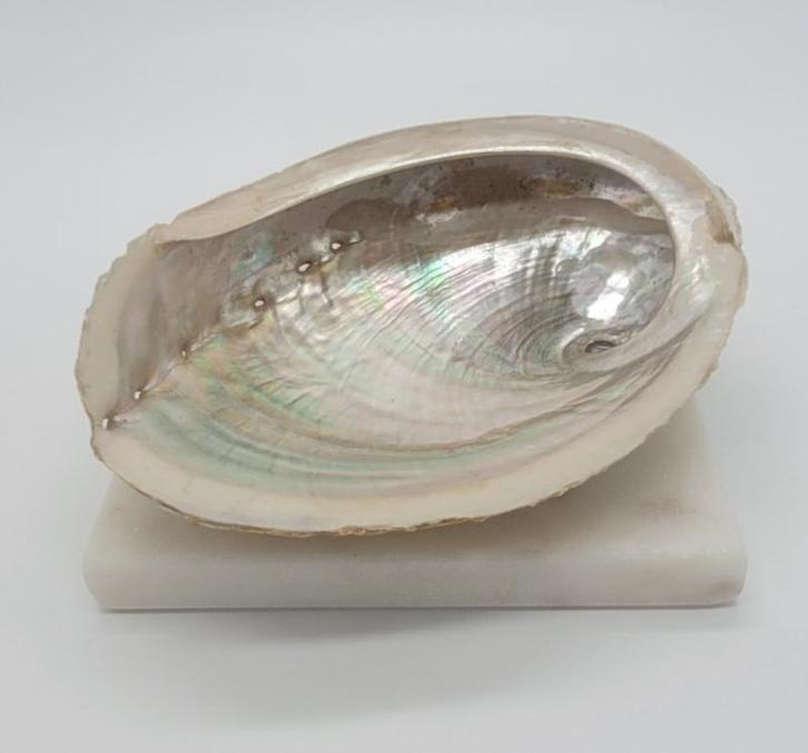 Abalone smudge schelp, Verzamelen, Mineralen en Fossielen, Ophalen of Verzenden