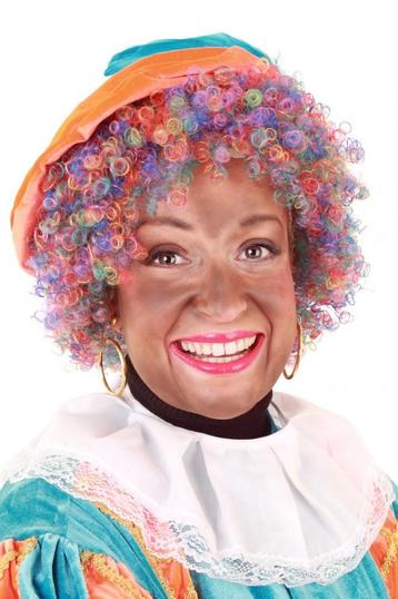 Regenboog Pietenpruik Kleurtjes Gratis 2x Haarnetje Gekleurd