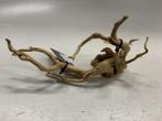 Spiderwood Selected SW99 - 14x10x17cm (Spider wood), Dieren en Toebehoren, Ophalen of Verzenden, Nieuw, Plant(en), Steen of Hout