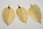 Echte blad skeletpendant (Set van 3 stuks) - Hanger, Verzamelen, Mineralen en Fossielen