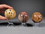 Mooie set fossiele bollen (hout, koraal, honing calciet met, Verzamelen, Mineralen en Fossielen