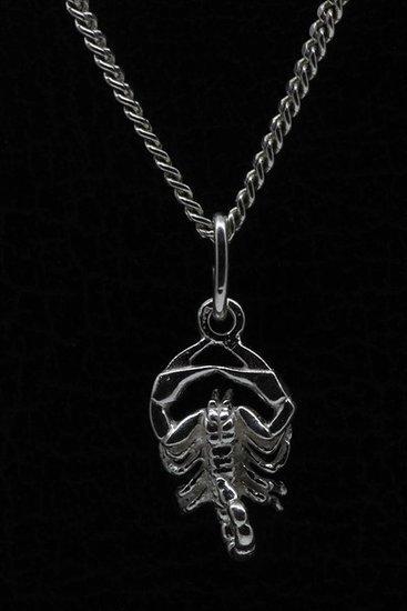Zilveren Sterrenbeeld Schorpioen ketting hanger - klein, Sieraden, Tassen en Uiterlijk, Kettinghangers, Verzenden
