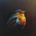 Tomasz Bednarski (1965) - Nignt Robin