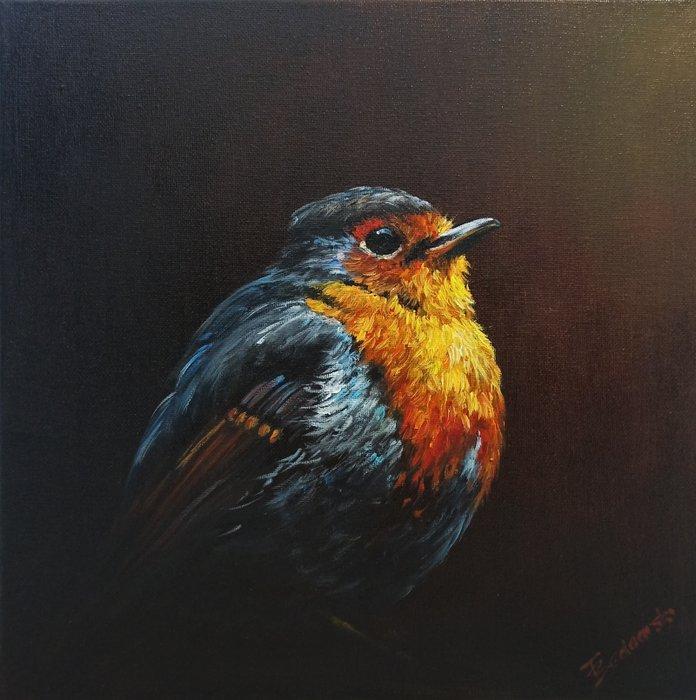 Tomasz Bednarski (1965) - Nignt Robin, Antiek en Kunst, Kunst | Schilderijen | Klassiek