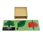 Moyo Montessori - 3 Botanische puzzels met kast, Verzenden, Nieuw