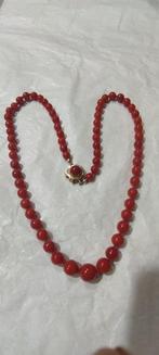 Halsketting - 15 karaat Geel goud Bloedkoraal - Koraal, Sieraden, Tassen en Uiterlijk, Kettingen, Nieuw