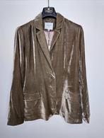 Dante 6 Velvet Blazer, Verzenden, Nieuw