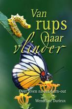 VAN RUPS NAAR VLINDER 9789033815508 Wendelien Durieux, Boeken, Verzenden, Gelezen, Wendelien Durieux