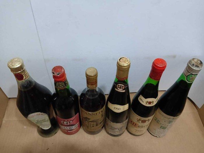 Di Iorio, Sciacchetra x2, Monagi, De Cilis, Camerucci -, Verzamelen, Wijnen