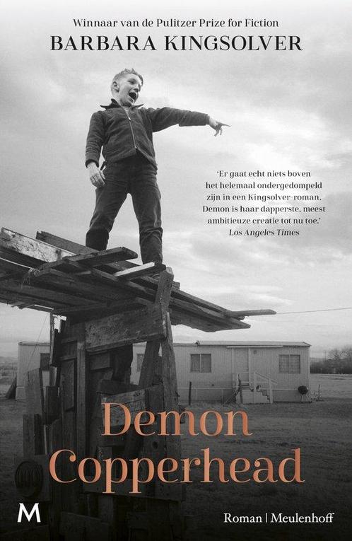 9789029098656 Demon Copperhead | Tweedehands, Boeken, Romans, Zo goed als nieuw, Verzenden