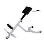 vidaXL Rugspiertrainingsbank, Sport en Fitness, Fitnessmaterialen, Verzenden, Nieuw