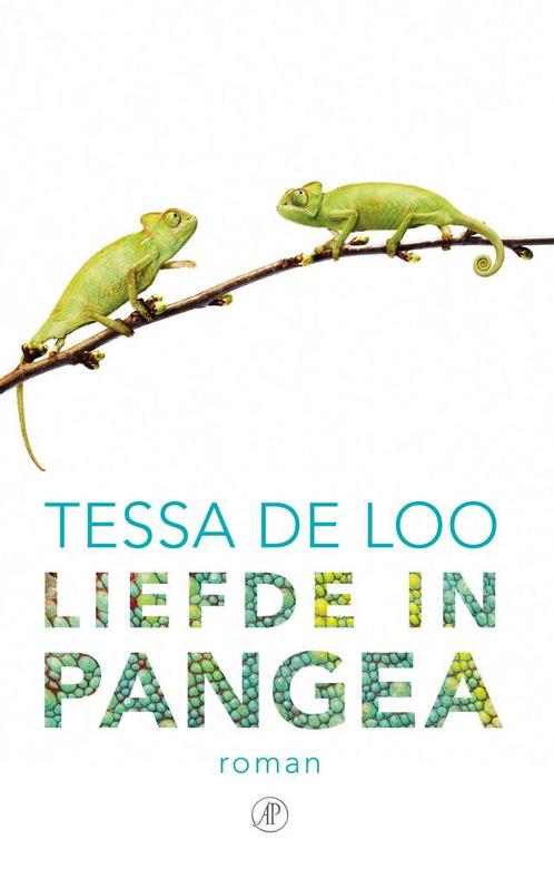 Liefde in Pangea 9789029505598 Tessa de Loo, Boeken, Romans, Gelezen, Verzenden