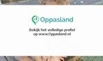 Anouk zoekt een oppas in Utrecht voor 1 kind., Vacatures