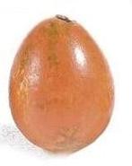 Kwarteleitjes Oranje 20 stuks uitgeblazen voor decoratie, Hobby en Vrije tijd, Knutselen, Ophalen of Verzenden, Nieuw