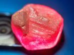 POKER GEMS - 34,7 ct - Natuurlijke smaragd, robijn, saffier,